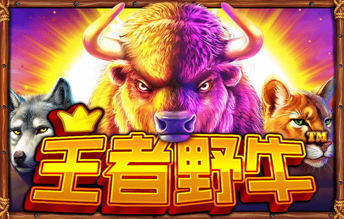 爱博体育app官网登录